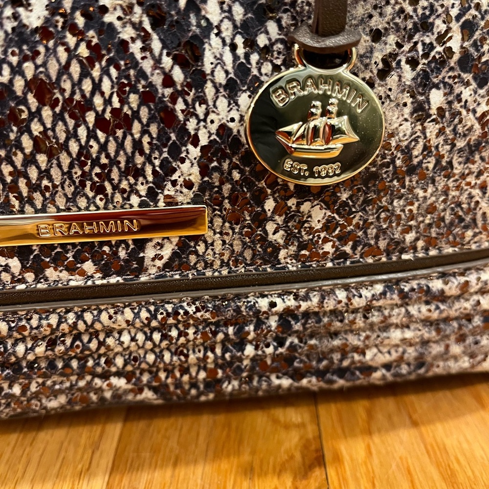 Snakeskin Pattern Handbag - Picture 3 of 10